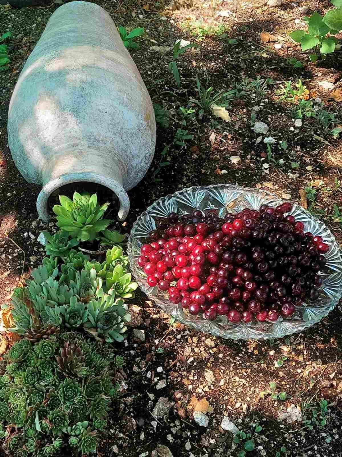 דירות סטינג'ה Aria מראה חיצוני תמונה
